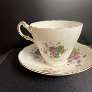 Vintage Regency Bone China Tea Cup Saucer Wild Violet Flowers Made In England